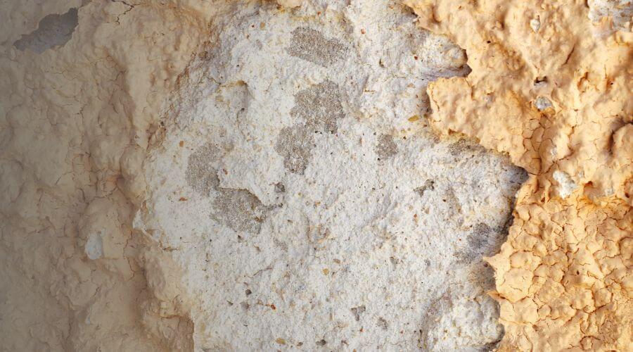 Why choose water damage restoration service for commercial water damage restoration in Saint Paul